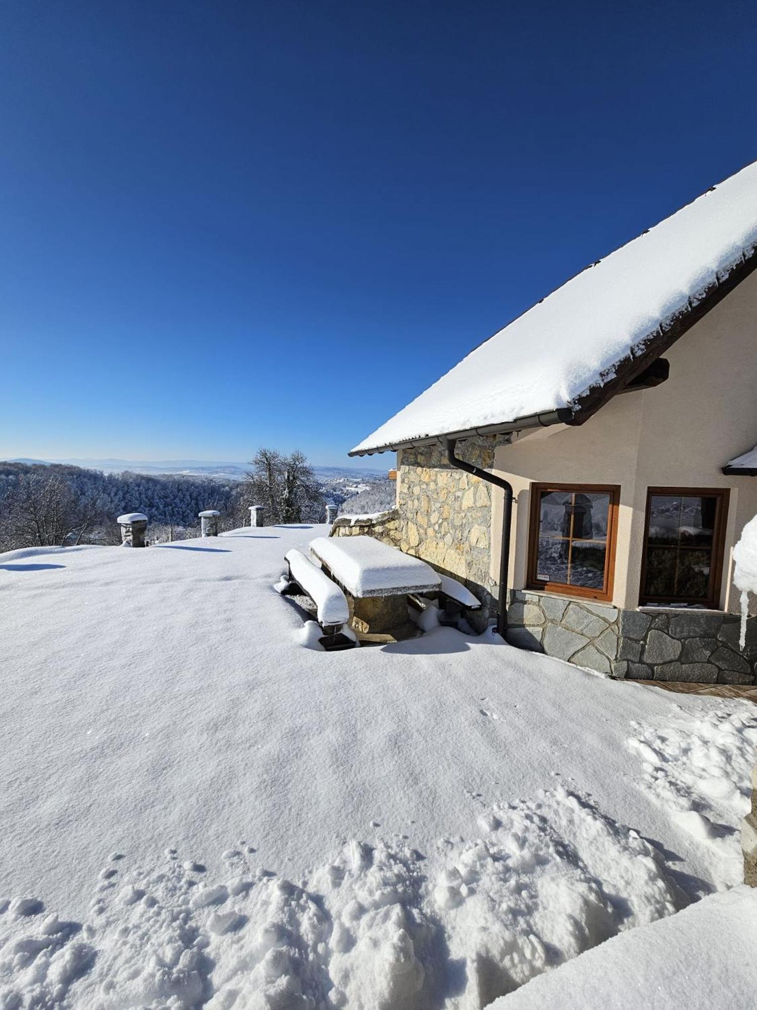 Zerko Holiday Home - Vineyard Chalet With Sauna And Jacuzzi Free Mirna Экстерьер фото