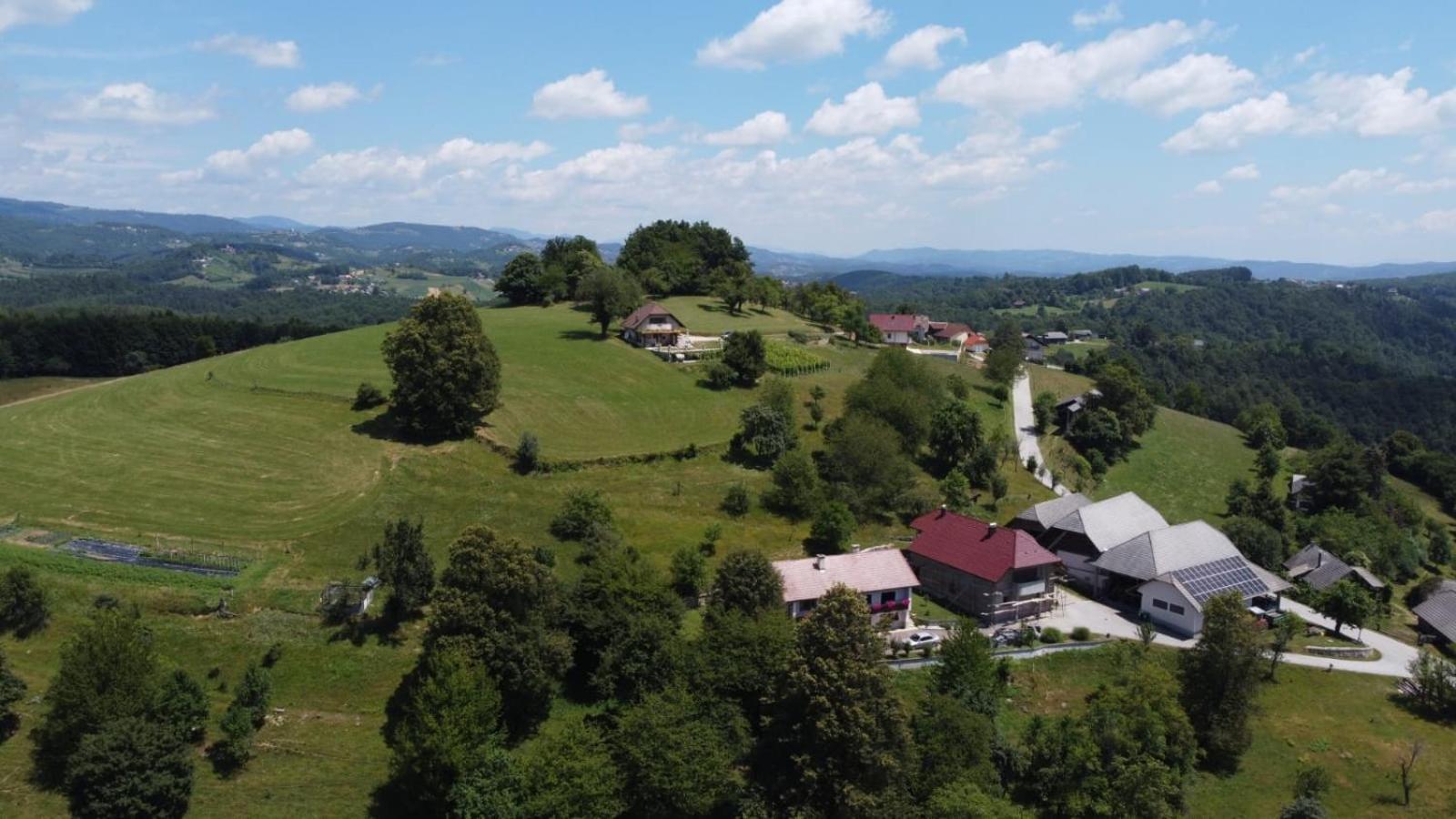 Zerko Holiday Home - Vineyard Chalet With Sauna And Jacuzzi Free Mirna Экстерьер фото
