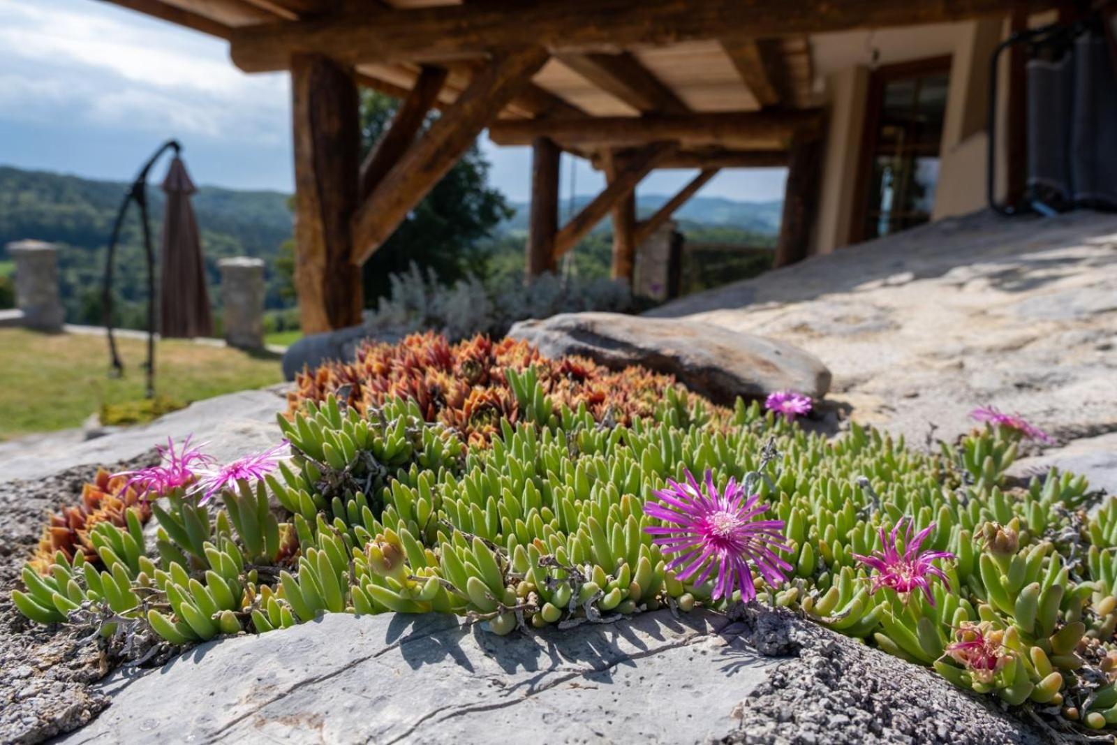 Zerko Holiday Home - Vineyard Chalet With Sauna And Jacuzzi Free Mirna Экстерьер фото