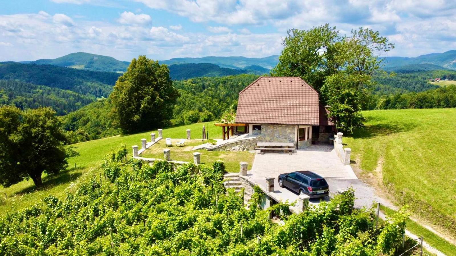 Zerko Holiday Home - Vineyard Chalet With Sauna And Jacuzzi Free Mirna Экстерьер фото
