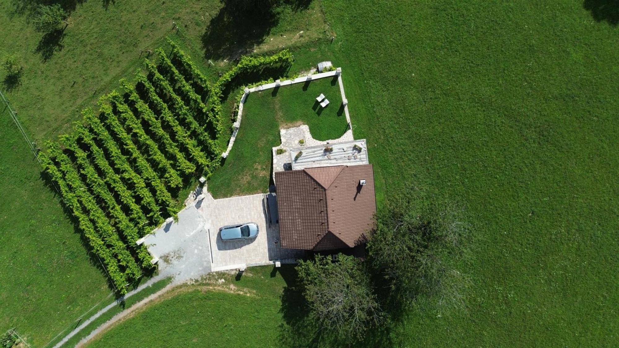 Zerko Holiday Home - Vineyard Chalet With Sauna And Jacuzzi Free Mirna Экстерьер фото